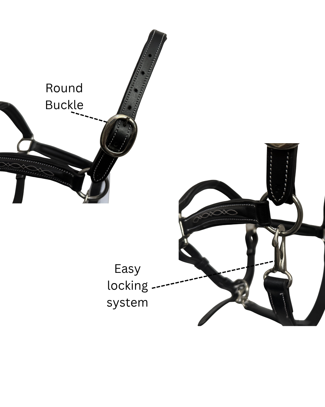 Van-Jan Fancy-Stitched Halter with Silver Hardware