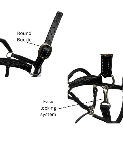 Van-Jan Fancy-Stitched Halter with Silver Hardware