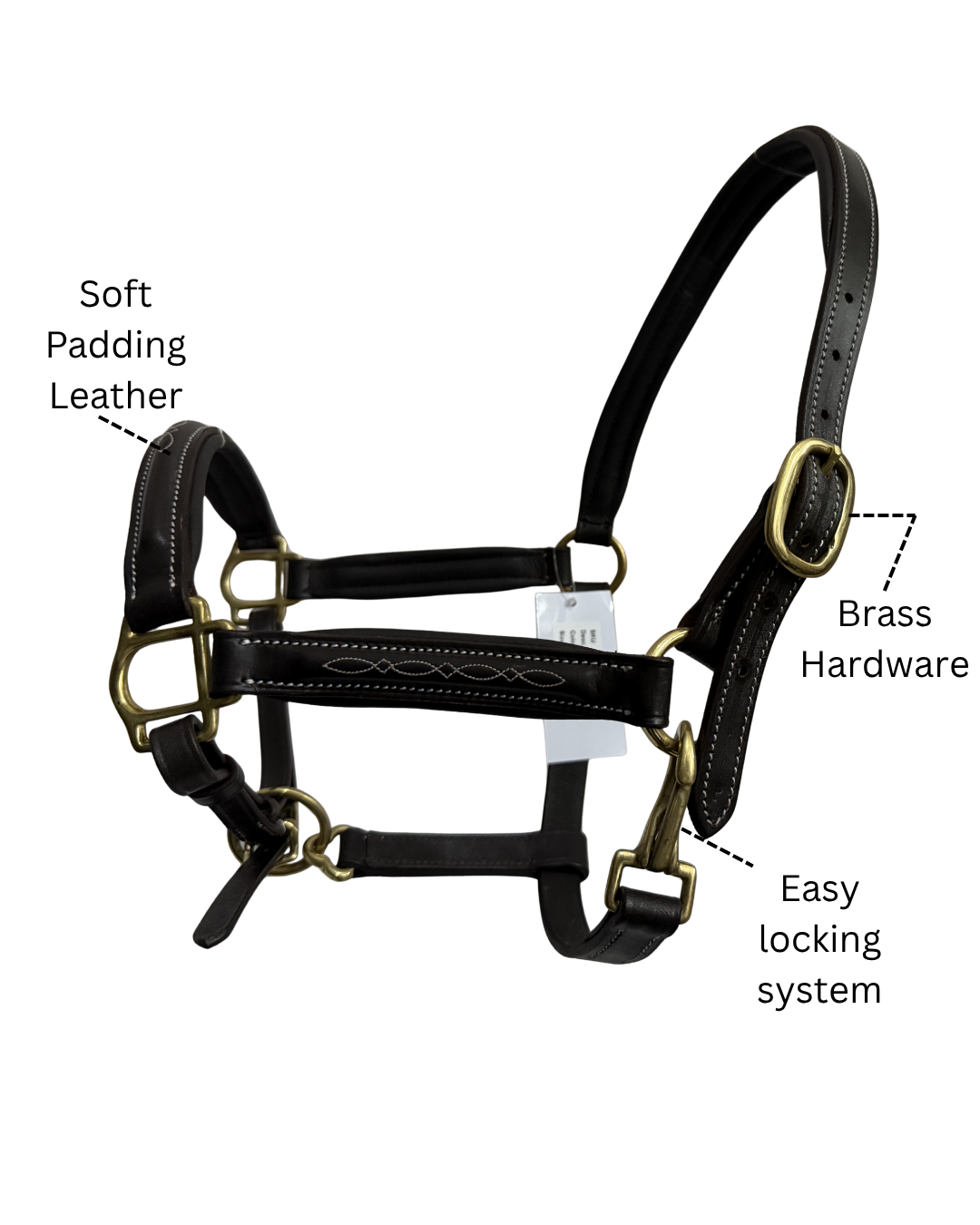 Van-Jan Anatomical Leather Halter with Brass Hardware
