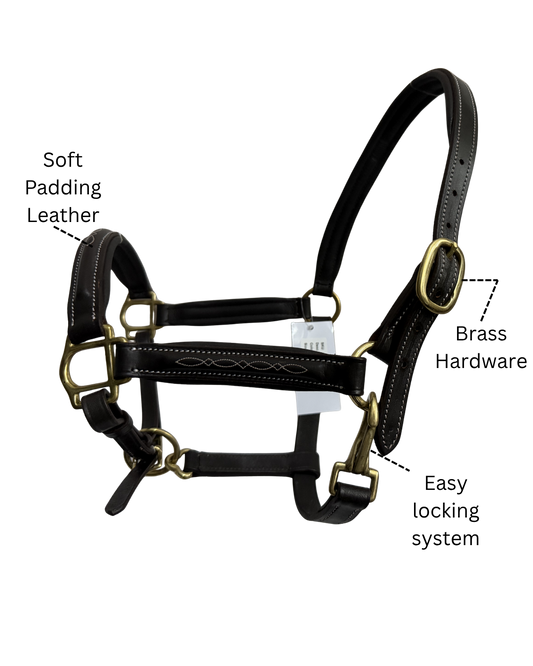 Van-Jan Anatomical Leather Halter with Brass Hardware