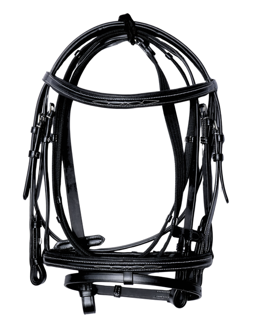 Van-Jan Classic Fancy-Stitched Leather Bridle with Flash Noseband and Reins