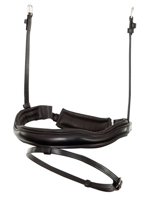 Noseband-4102