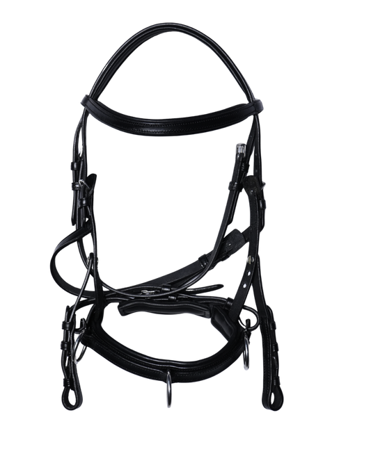 Van-Jan Anatomical 3-in-1 Bridle and Cavesson Combo
