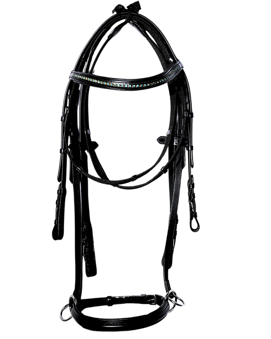 Van-Jan Crystal-Accented Dressage Bridle with Flash Noseband and Reins