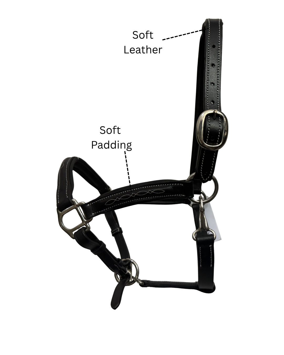 Van-Jan Fancy-Stitched Halter with Silver Hardware
