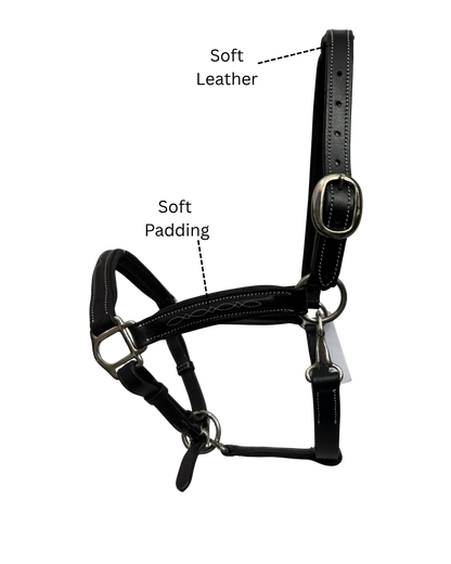 Van-Jan Fancy-Stitched Halter with Silver Hardware
