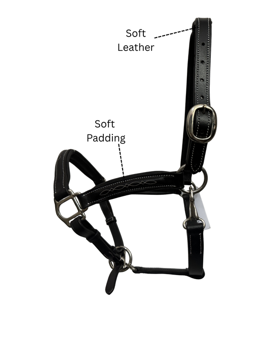 Van-Jan Fancy-Stitched Halter with Silver Hardware